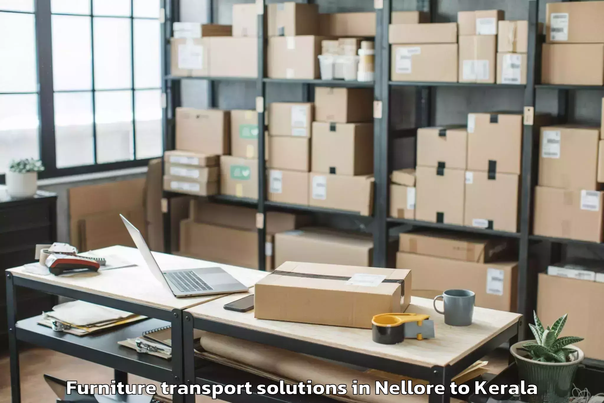 Top Nellore to Kochi Airport Cok Furniture Transport Solutions Available